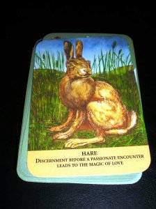 animal oracle cards