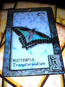 animal messages, oracle cards, butterfly, transformation