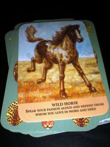 animal messages, oracle cards, wild horses, family support