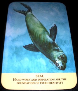 animal messages, oracle cards, seal symbology