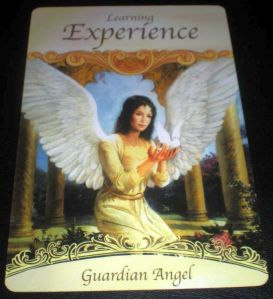 learning experience guardian angel